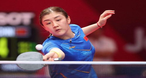 了广泛关注 了广泛关注